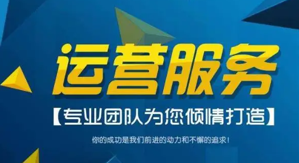 专业网店代运营