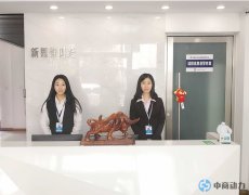 拼多多代运营必做的工作有哪些？