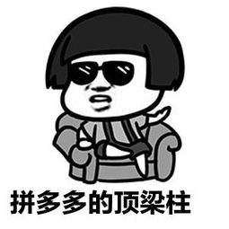 拼多多推广多多进宝的操作方式